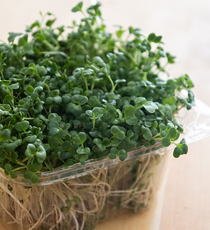 Image by Artelle Creative