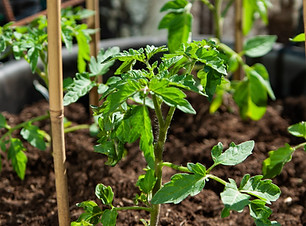 AP Restoration Group Ltd - Garden Design & Landscaping