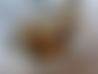 National Clam Chowder Day