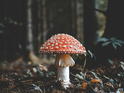 Aligning with the Nature