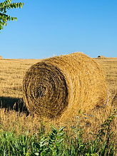 Round Baler Twine Big Tex from Protexia 20000/110