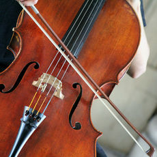 Shelley Tsang - Milestones of Excellence: Music