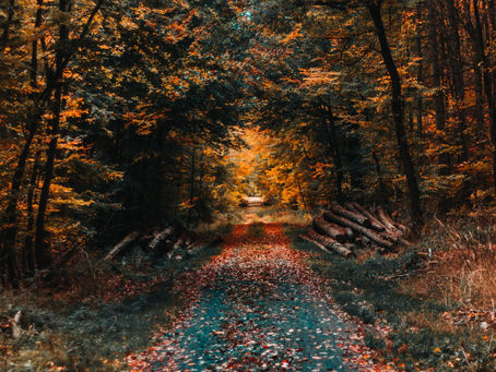 Why Move To Assisted Living In The Fall