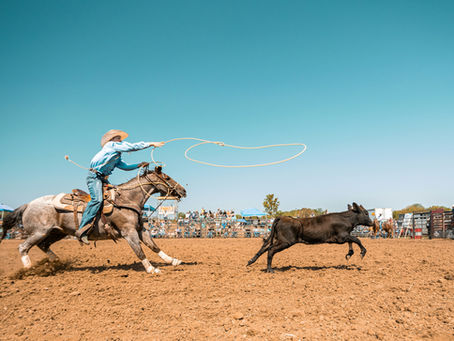 Dubois Rodeo: A Real Taste of the West Every Friday Night