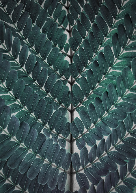 Image by Devyani Vij