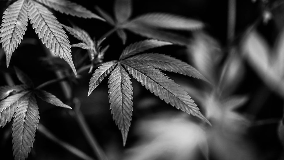 Image by 2H Media