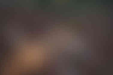 Visiter bern Suisse @unsplash Victoria Primak