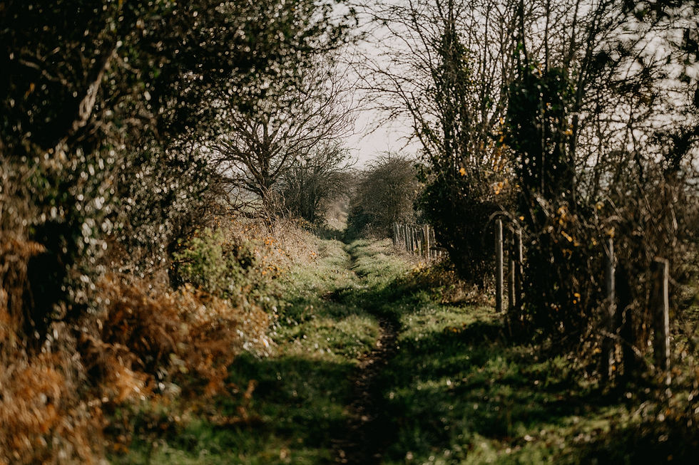 pathway