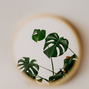 Making a Big Change in Your Life or Work