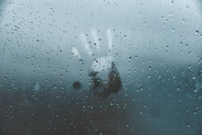 Living with a borderline parent – part 5. Death of Poli. My very first self-tapping using EFT.
