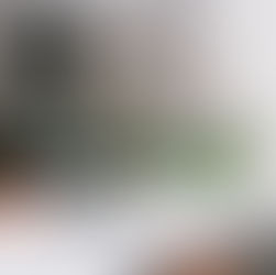 Kitchen cabinets Design in Mount Prospect, Illinois: A Guide for Homeowners