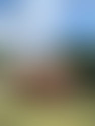 Dieu a béni la maison