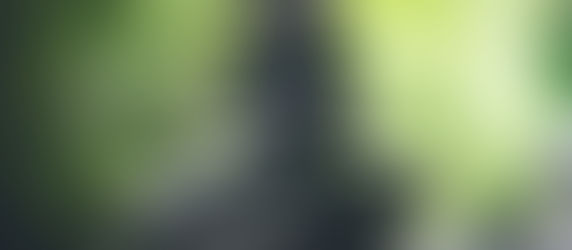 ✨ Meine 5 Kernwerte als Führungskraft