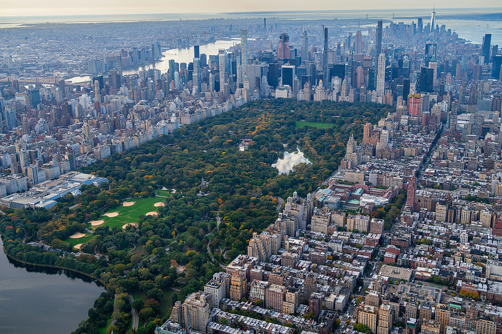 Aerial view of Central Park and the Manhattan skyline on a clear day, showcasing the Upper East Side, Midtown skyscrapers, tree-lined park landscapes, and surrounding New York City architecture from above.