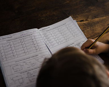 Homeschool Studying
