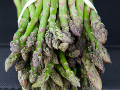 Des apserges vertes fraichement cueillies, sur fond bleu.