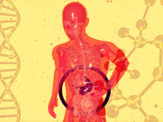 How Your Gut Talks to Your Brain: The Gut-Brain Axis Explained