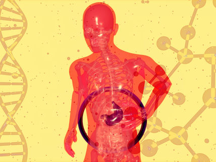 Transparent human body with visible skeleton and stomach on a yellow background featuring DNA and molecule patterns.