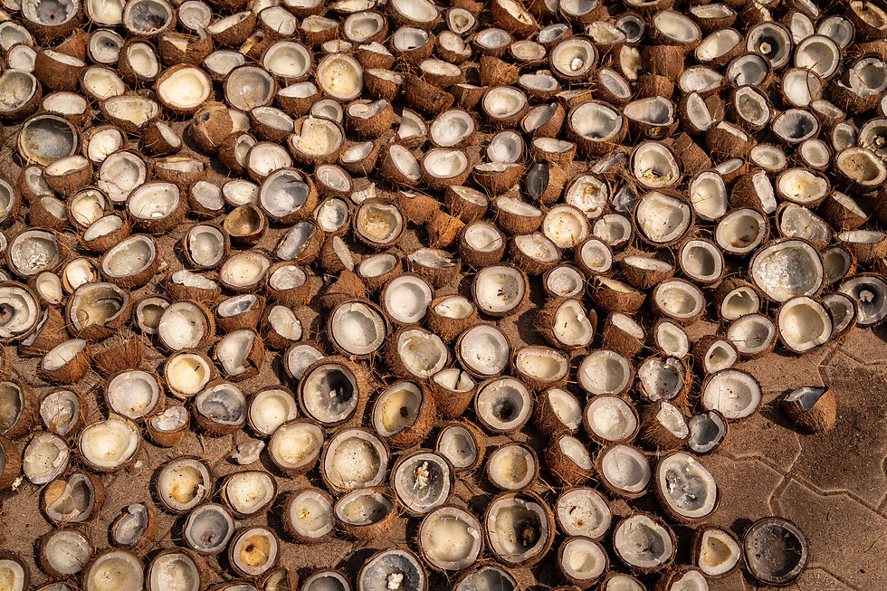 Coconut Coir/Husks