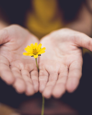 Image by Lina Trochez