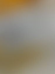 A Massive Flour Recall, Idiocracy, and Free Lunch