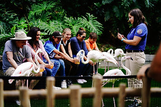 Group Tour for women