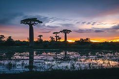 Image by Nicolas Jehly