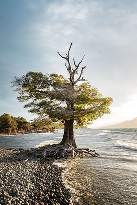 Image by Sébastien Goldberg