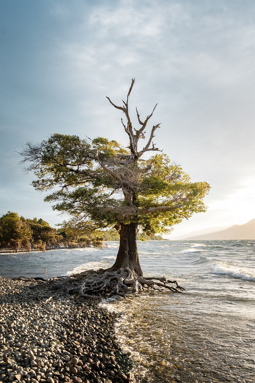Image by Sébastien Goldberg