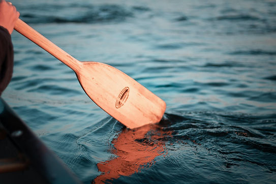 Image by Nick Linnen