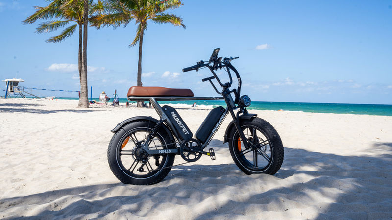 Comprehensive Guide to Choosing the Best Electric Bike for Your Needs