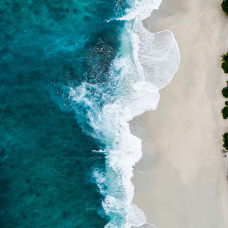 La vague de trop