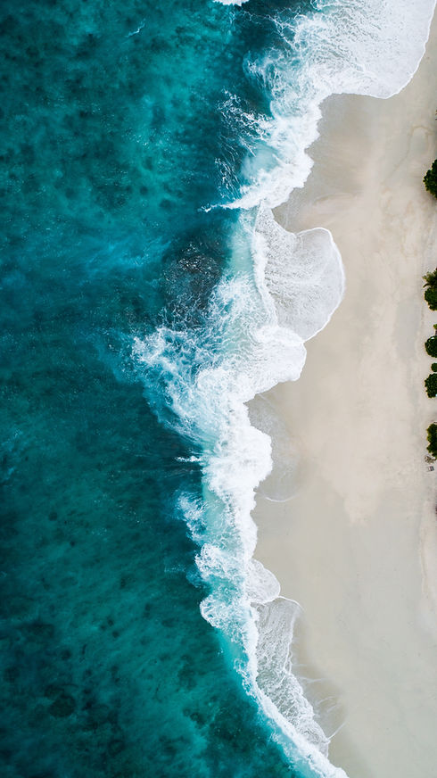 Image by Shifaaz shamoon