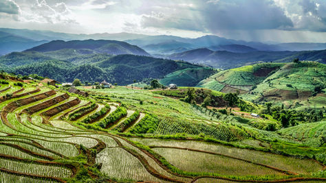 Capital Trust Group and Chancery Hill Ventures launch a partnership to promote Thai businesses