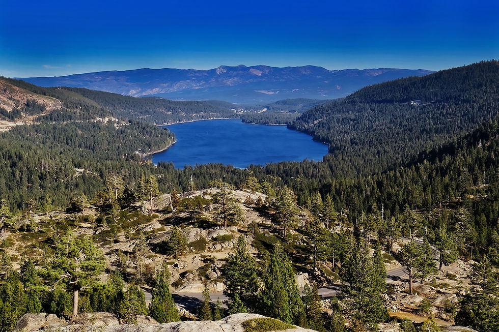 Truckee/Tahoe Forest Bathing Walks