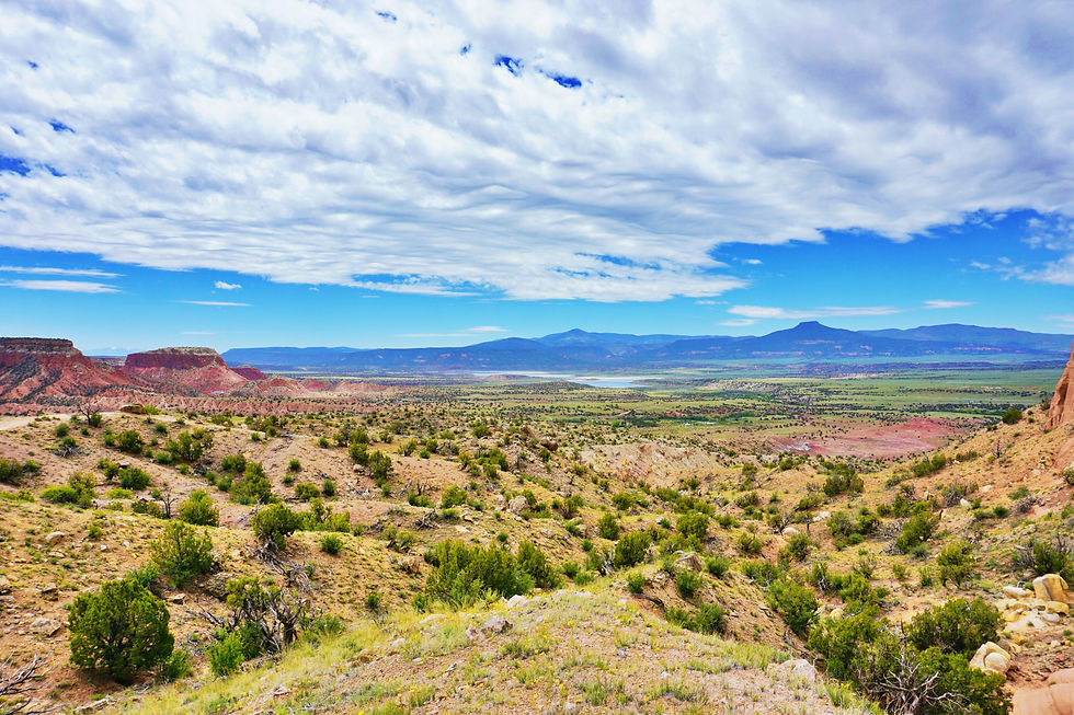 New Mexico Advanced Healthcare Directives