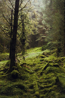 Image by Alex Russell-Saw