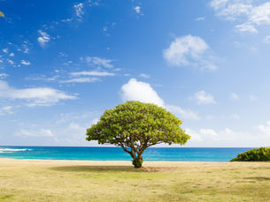 Post-NAR Settlement: How Florida Agents Can Thrive with the Preferred SHORE Referral Network