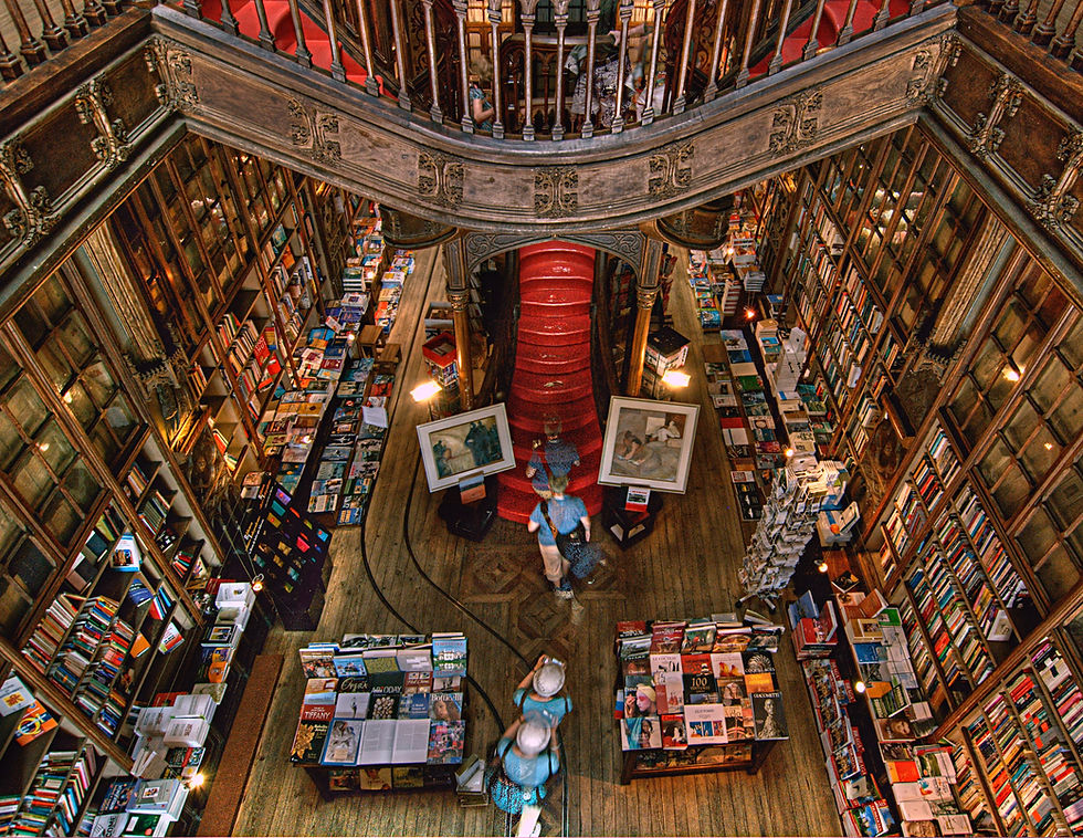 Sur les traces d'Harry Potter à Porto - Voyage à Porto Blog