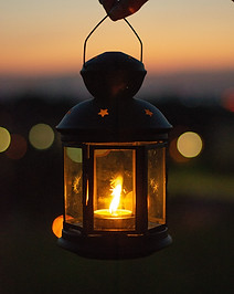 Image de Sylwia Bartyzel