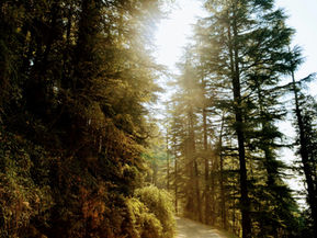 Leadership in a Time of Emotional Burnout