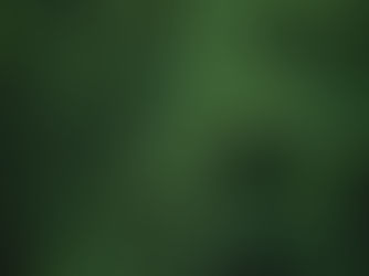 fern fronds