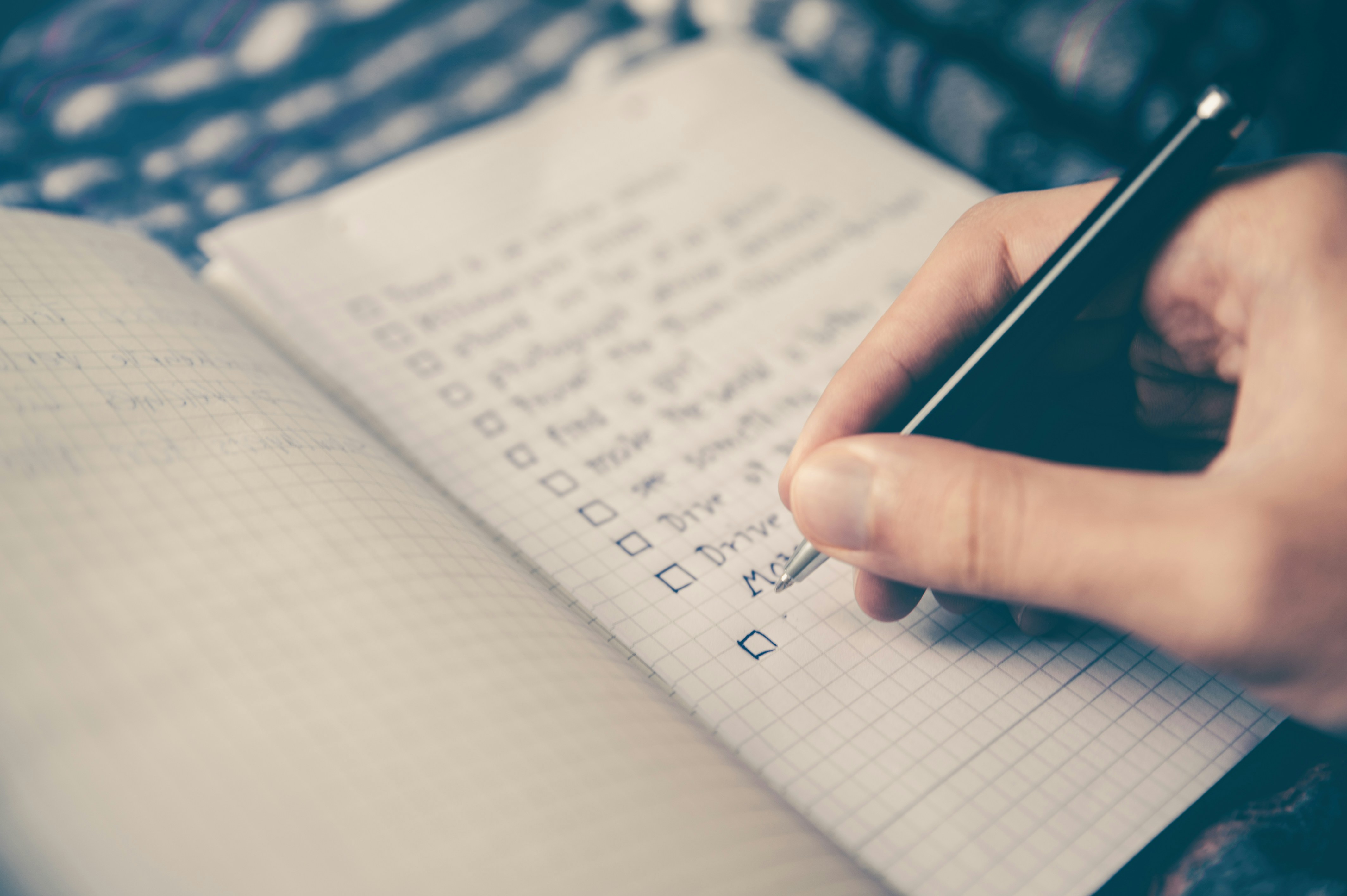 Program and Faculty Review