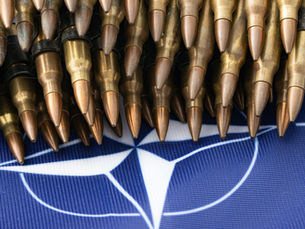 FİNLANDİYA VE İSVEÇ'İN NATO SÜRECİ