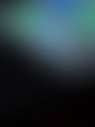 TikTok app on a phone screen
