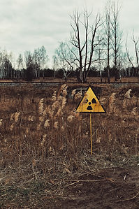Image by Oleksandra Bardash