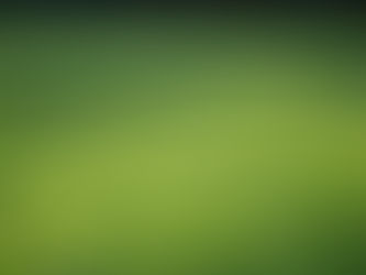 Sunlit green turf field with shadows, creating a peaceful and serene atmosphere. No people or text visible.