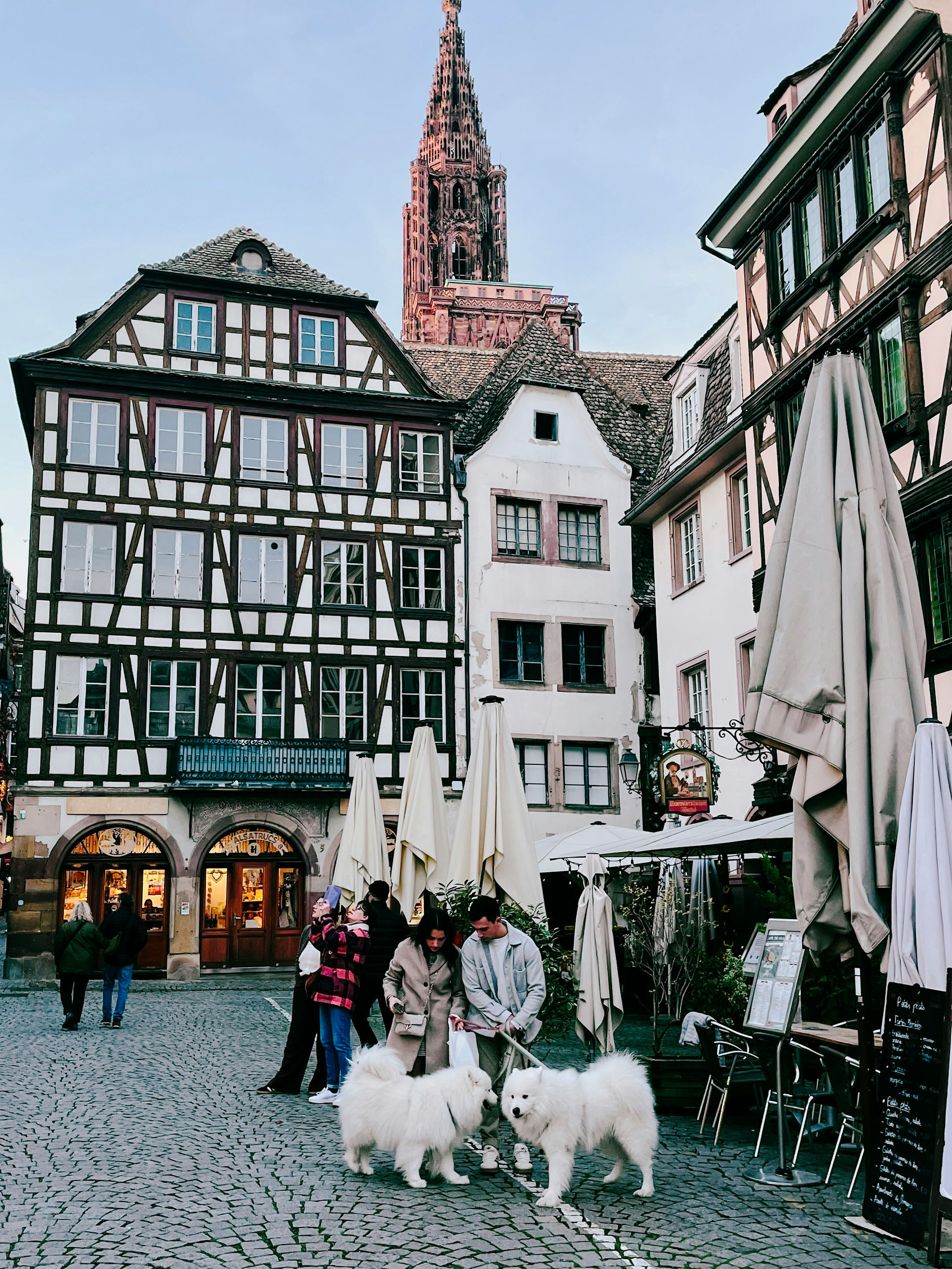 Strasbourg Noel Pazarı Rehberi