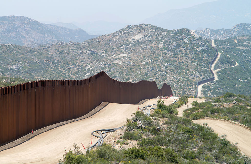 Immigration defence lawyer
