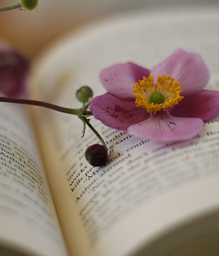 Image by Jasbir Virdi